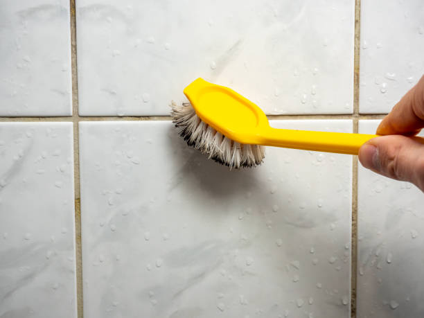 Best Mold Testing  in Wakefield, KS