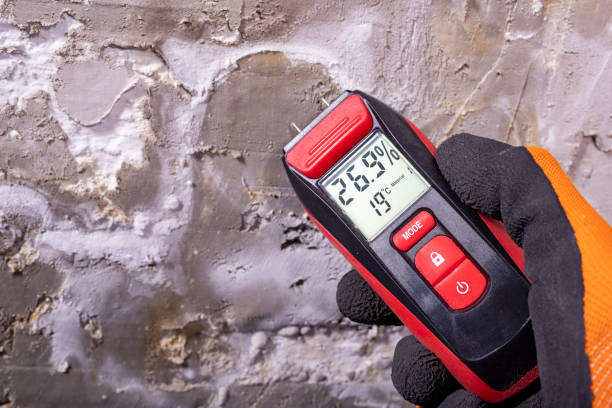 Best Mold Removal Process  in Wakefield, KS