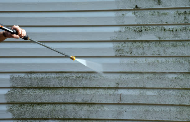 Best Attic Mold Removal  in Wakefield, KS